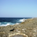 Bonaire's Northeast Coast